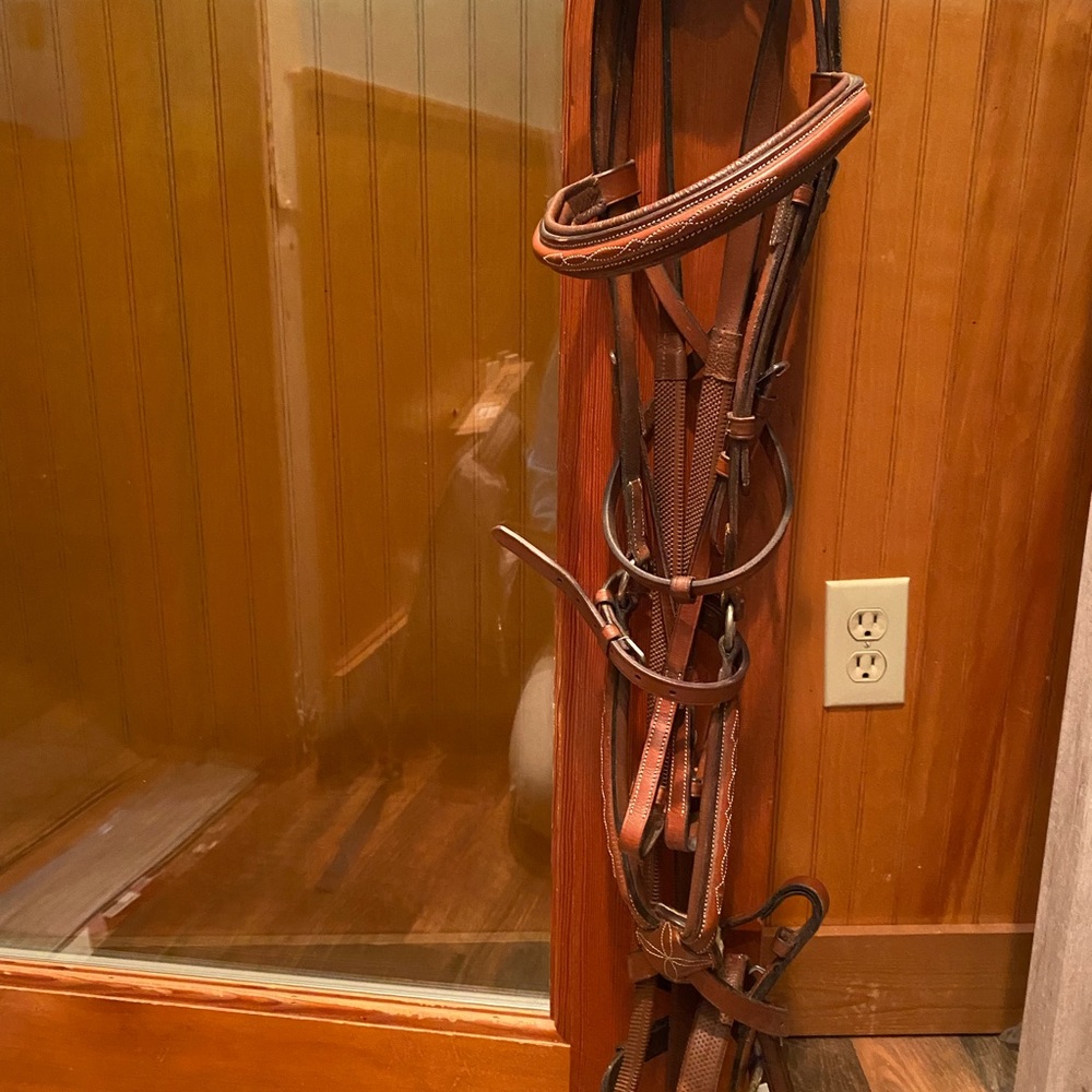 Fancy stitched figure 8 bridle